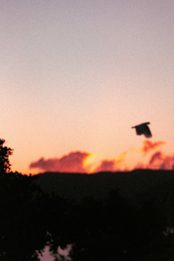 sunrise-airliebeach-whitsundayphotography